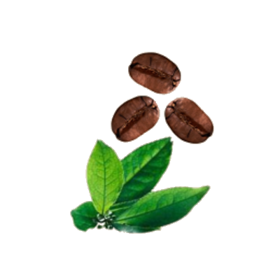 Beans and Leaves logo