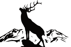 Roaring Stag Coffee logo